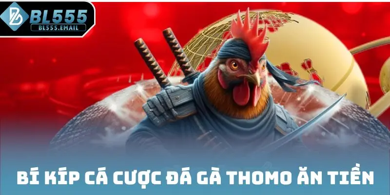 Bí kíp cá cược đá gà Thomo ăn tiền